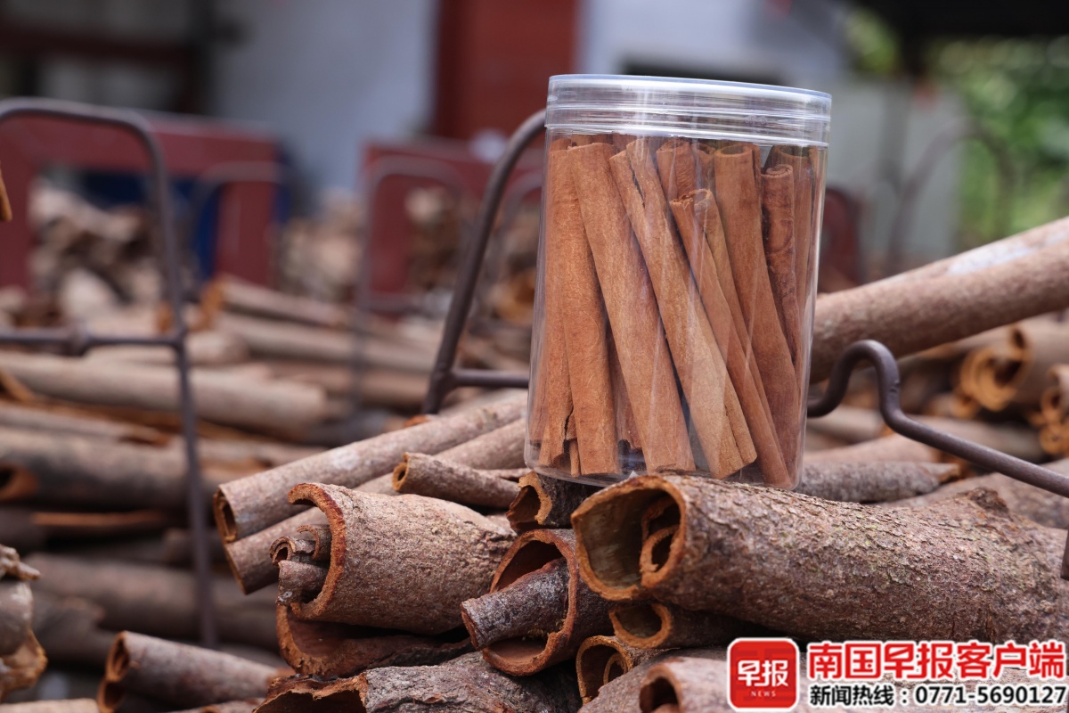 广西的树皮，如何跃入海外电子供应链？