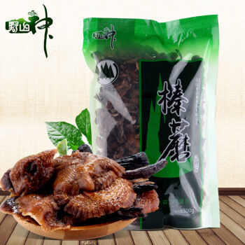 东北山野珍馐 野生榛蘑，小鸡炖蘑菇的灵魂之选